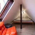 Alpstuga Charmantes Denkmalgeschuetztes Tiny House Am Rhein Rhens