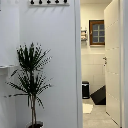 בקתה Charmantes Denkmalgeschuetztes Tiny House Am Rhein *